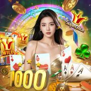 Suporte vbet